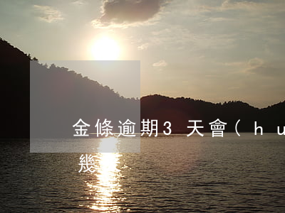 金條逾期3天會(huì)怎樣-金條逾期幾天