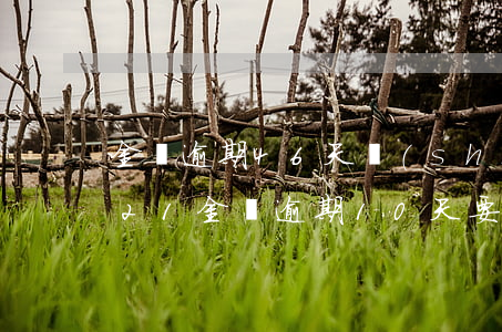 金條逾期46天說(shuō)起訴我2021(金條逾期10天要起訴我真的嗎)