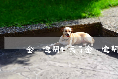 金條逾期4天了 金條逾期4天了