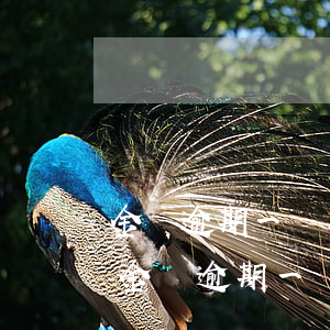 金條逾期一個月發(fā)消息說要上門-金條逾期一個月說要上門調(diào)查