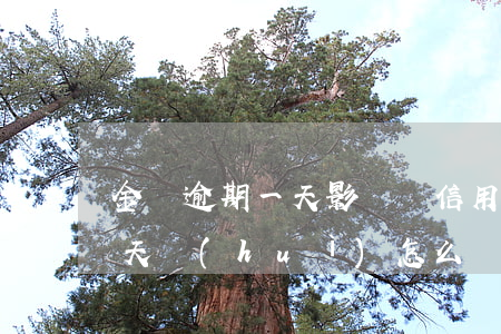 金條逾期一天影響辦信用卡嗎-金條逾期兩天會(huì)怎么樣