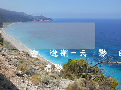 金條逾期一天會影響白條嗎(白條逾期一天有沒有影響)