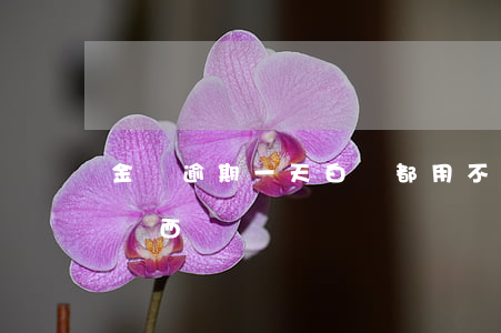 金條逾期一天白條都用不了（白條金條逾期買東西）