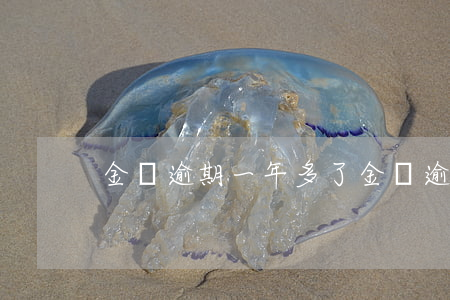 金條逾期一年多了(金條逾期一兩天)