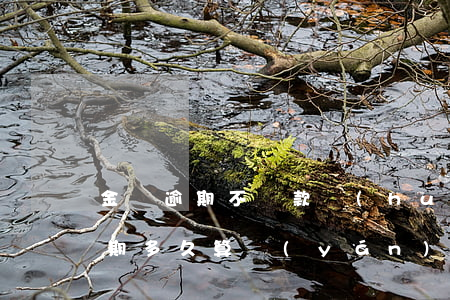 金條逾期不還款會(huì)怎么樣(金條逾期多久算嚴(yán)重)