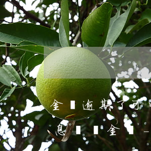 金條逾期了可以協(xié)商還款嗎停利息違約金嗎-金條逾期能協(xié)商還款嗎