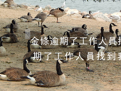 金條逾期了工作人員找到我怎么辦-金條逾期了工作人員找到我怎么辦呢
