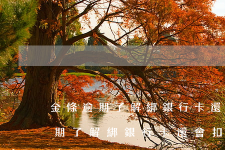 金條逾期了解綁銀行卡還會扣錢嗎-金條逾期了解綁銀行卡還會扣錢嗎安全嗎