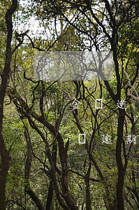 金條逾期二十天會(huì)影響白條嗎 金條逾期二十天有什么后果