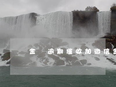 金條逾期催收加微信(金條逾期上門催收違法嗎)