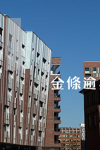 金條逾期兩月起訴(金條逾期兩月起訴)