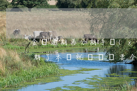 金條逾期再分期手續(xù)費(金條分期逾期了本來就沒錢還要全部還完)