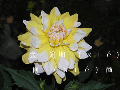 金條逾期協(xié)商還款嗎(金條逾期如何協(xié)商)