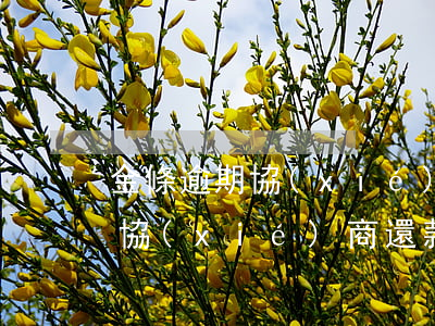 金條逾期協(xié)商還款方法(金條逾期協(xié)商還款方法)