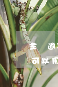 金條逾期后白條可以使用嗎(金條逾期白條還可以用么)
