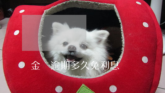 金條逾期多久免利息