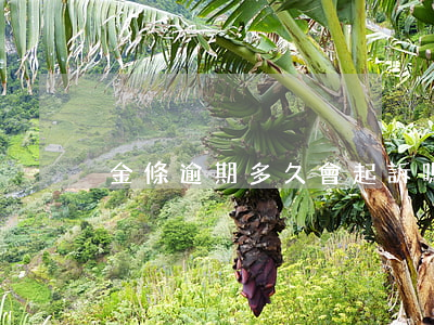 金條逾期多久會起訴嗎