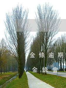 金條逾期對(duì)借唄有影響嗎(借唄和金條會(huì)影響房貸嗎)