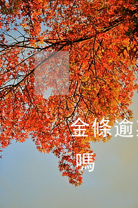 金條逾期小額(金條逾期一月嚴(yán)重嗎)