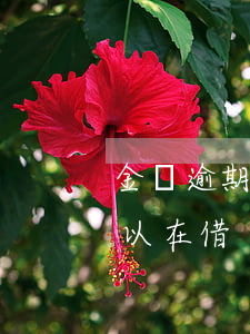 金條逾期幾天還能借么（金條逾期什么時候可以在借）