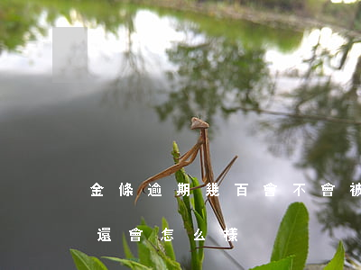金條逾期幾百會不會被起訴(金條逾期幾百沒還會怎么樣)