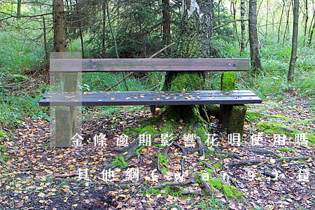 金條逾期影響花唄使用嗎(金條逾期一天導致其他網(wǎng)貸都不能用)