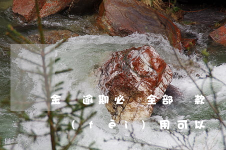 金條逾期必須全部還款嗎(金條只還逾期部分費(fèi)用可以嗎)