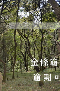 金條逾期怎么協(xié)商再次分期(金條逾期可以協(xié)商分期還款嗎)