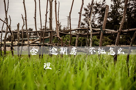 金條逾期房貸不批怎么辦(金條逾期會影響我辦理車貸嗎)