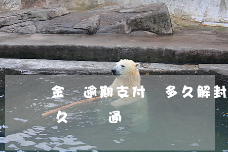 金條逾期支付寶多久解封(金條逾期被停用多久會開通)