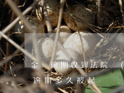 金條逾期收到法院發(fā)來的信息(金條逾期多久被起訴)