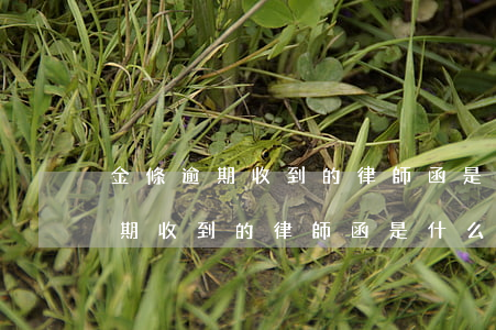 金條逾期收到的律師函是什么樣的-金條逾期收到的律師函是什么樣的啊