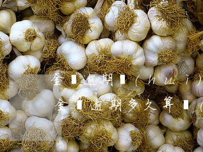 金條逾期會(huì)不會(huì)起訴(金條逾期多久算嚴(yán)重)