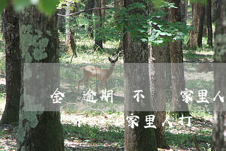 金條逾期會不會給家里人打電話-金條逾期會不會給家里人打電話催收