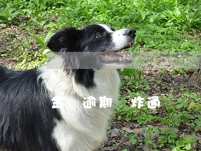 金條逾期會炸通訊錄嗎
