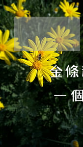 金條逾期會發(fā)律師函(金東金條逾期一個月律師函)