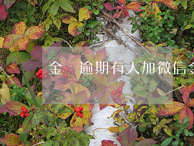 金條逾期有人加微信 金條逾期有人上門么