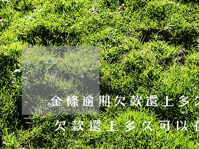 金條逾期欠款還上多久可以在用-金條逾期欠款還上多久可以在用借唄
