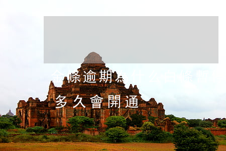 金條逾期為什么白條暫停了(金條逾期被停用多久會開通)