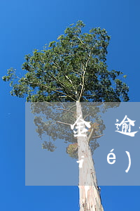 金條逾期無(wú)力償還（金條逾期協(xié)商還款）