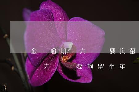 金條逾期無力償還要拘留坐牢嗎-金條逾期無力償還要拘留坐牢嗎多久