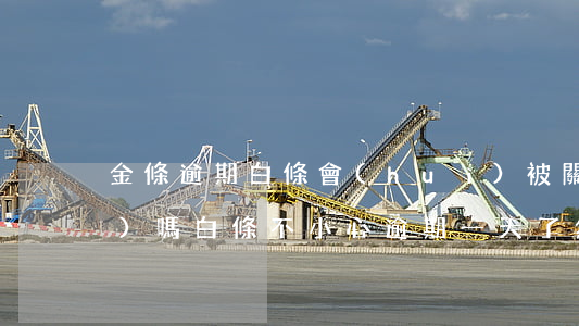 金條逾期白條會(huì)被關(guān)嗎(白條不小心逾期一天了,然后金條變黑白了)