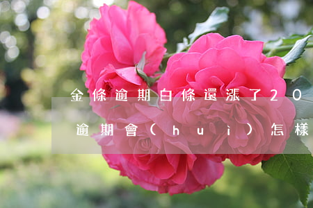 金條逾期白條還漲了2000(金條2000逾期會(huì)怎樣)