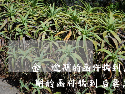 金條逾期的函件收到后要怎么處理-金條逾期的函件收到后要怎么處理呢