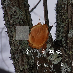 金條逾期能協(xié)商還款嗎(金條怎么協(xié)商延期還款)