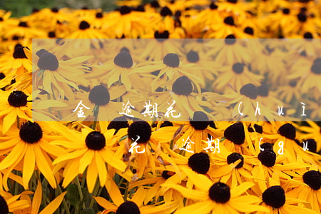 金條逾期花唄會(huì)關(guān)閉嗎(花唄逾期過(guò)3個(gè)月,還清了關(guān)閉了,要怎么樣才能在開通)