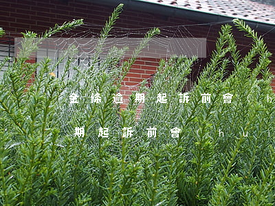 金條逾期起訴前會(huì)告知嗎（金條逾期起訴前會(huì)告知嗎）