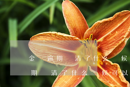 金條逾期還清了什么時候可以借錢-金條逾期還清了什么時候可以借錢呢