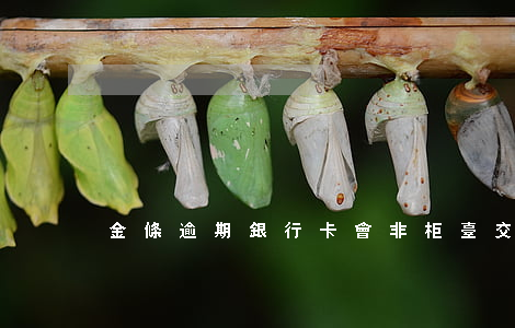 金條逾期銀行卡會非柜臺交易嗎-