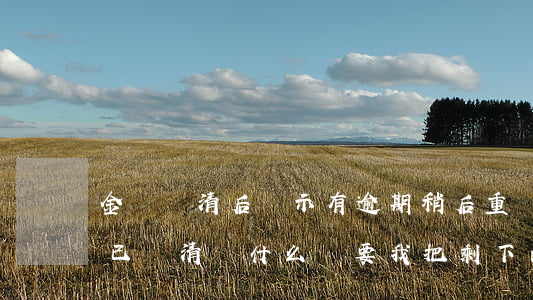 金條還清后顯示有逾期稍后重試-金條逾期已還清為什么還要我把剩下的一次性還清
